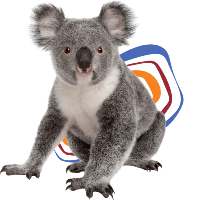 A koala is standing in front of a black background with a footer.