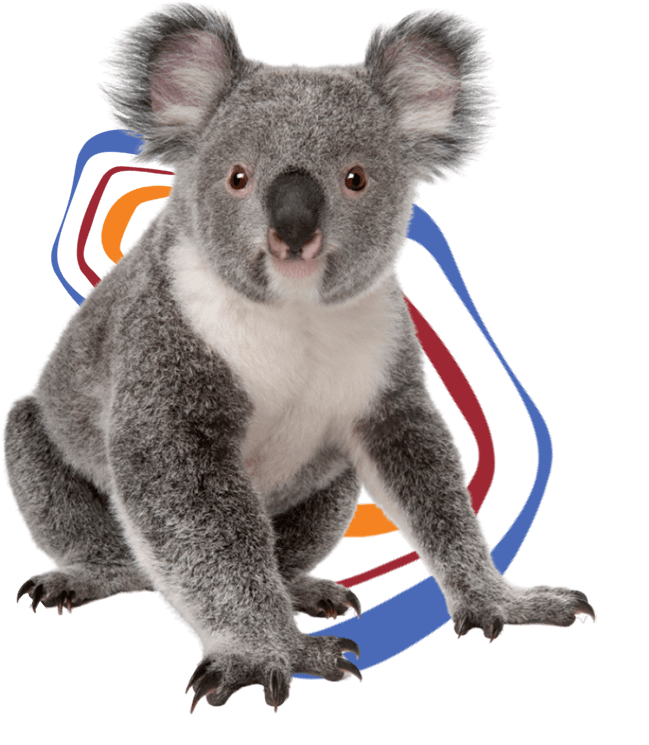 A koala is sitting in front of a vibrant background, expressing gratitude.