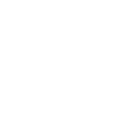 A line icon representing a worker holding a wrench, symbolizing services.