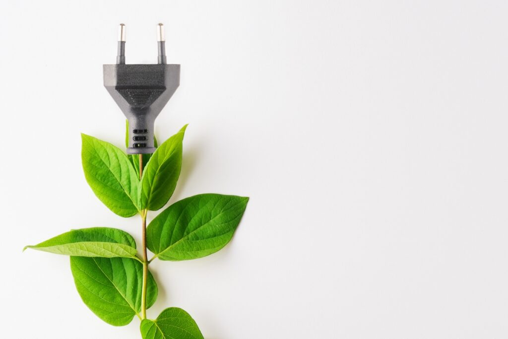 A green leafy plant with an energy-saving plug.