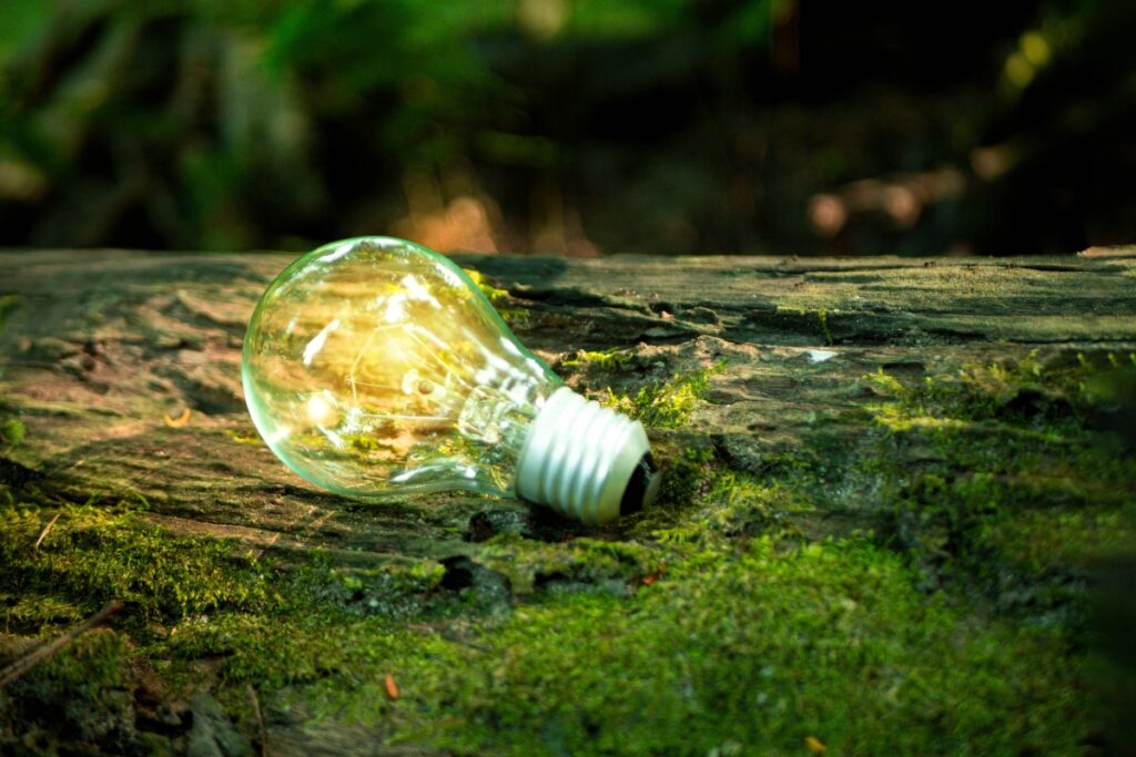 A light bulb, emitting a gentle glow, sits tranquilly on a moss-covered log amidst the enchanting woods.