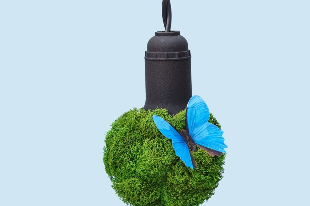 An energy-saving light bulb adorned with moss and a vibrant blue butterfly.