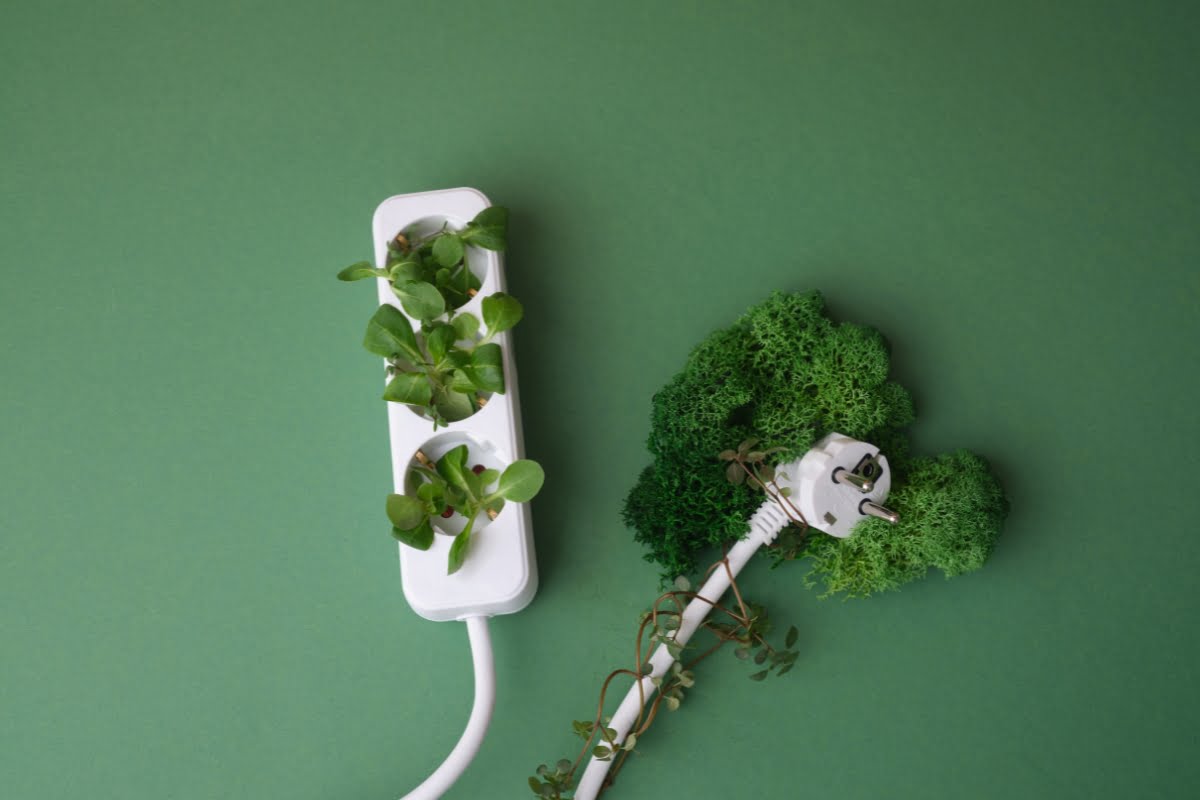 A power strip with plants growing from its sockets, connected to an electrical cord covered in greenery, set against a lush, green background, evokes a vision of sustainable innovation amid the pressing concerns of climate change.