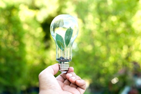 Hand holding a light bulb containing small green plant leaves, symbolizing innovative HVAC solutions for addressing climate change, with a blurred green background.